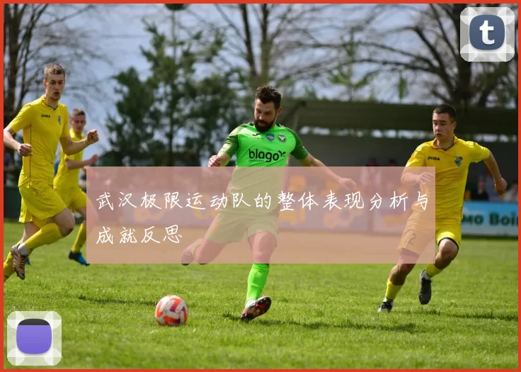 武汉极限运动队的整体表现分析与成就反思