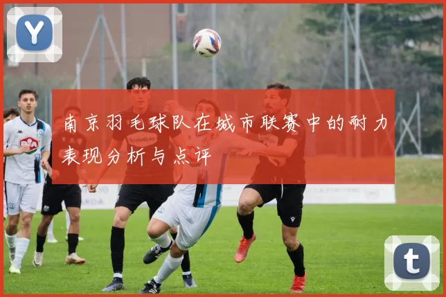 南京羽毛球队在城市联赛中的耐力表现分析与点评