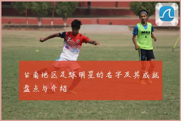 甘南地区足球明星的名字及其成就盘点与介绍