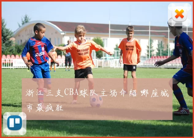 浙江三支CBA球队主场介绍 哪座城市最疯狂