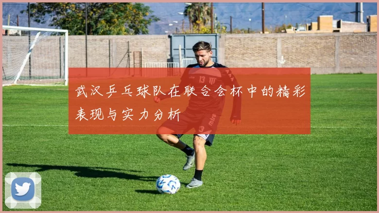 武汉乒乓球队在联合会杯中的精彩表现与实力分析