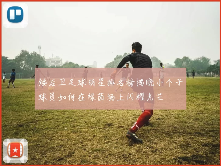 矮后卫足球明星排名榜揭晓小个子球员如何在绿茵场上闪耀光芒