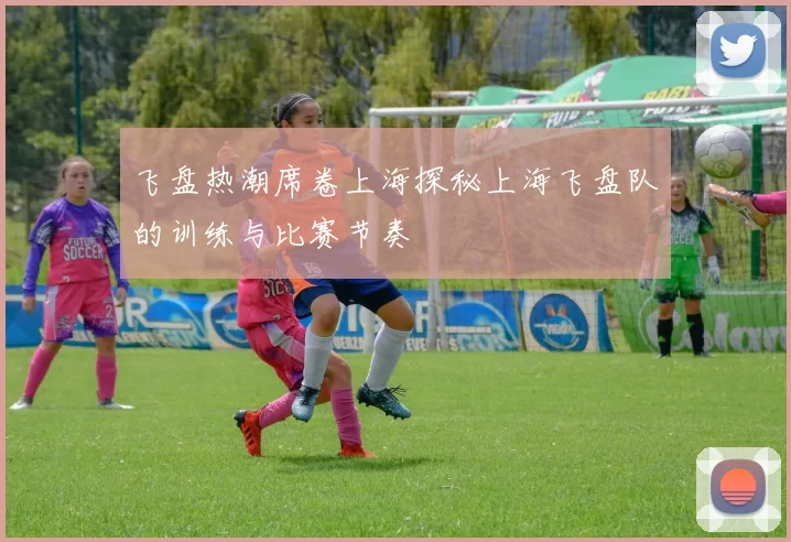 飞盘热潮席卷上海探秘上海飞盘队的训练与比赛节奏