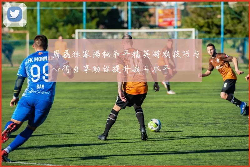 周磊独家揭秘和平精英游戏技巧与心得分享助你提升战斗水平