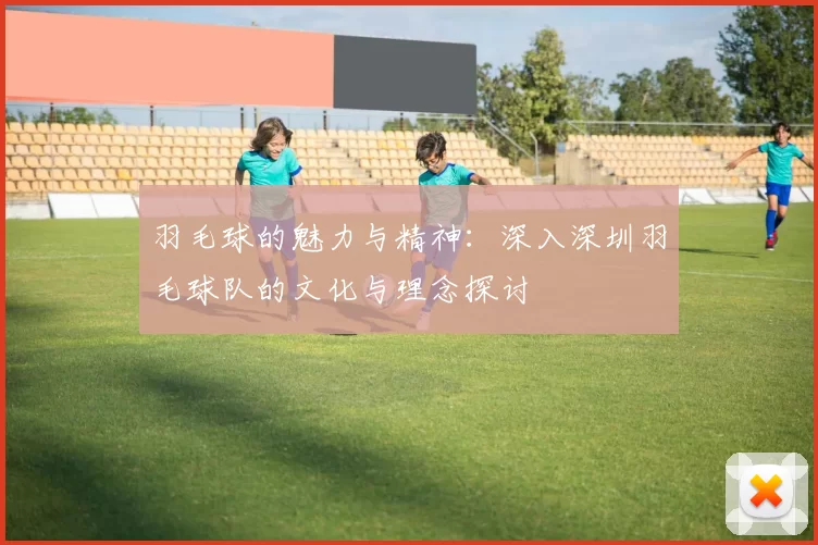 羽毛球的魅力与精神：深入深圳羽毛球队的文化与理念探讨