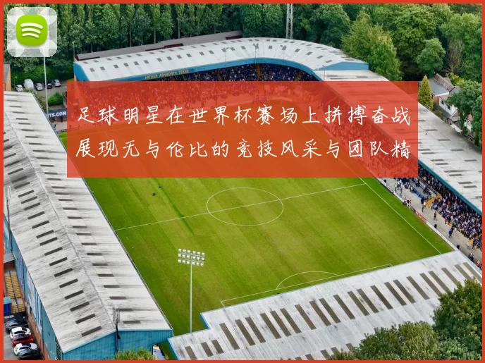 足球明星在世界杯赛场上拼搏奋战展现无与伦比的竞技风采与团队精神