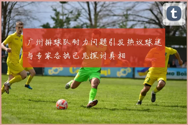 广州排球队耐力问题引发热议球迷与专家各执己见探讨真相