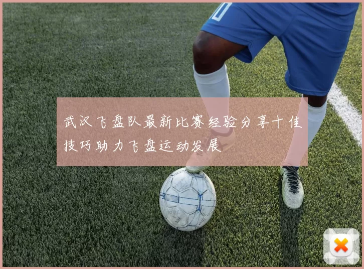 武汉飞盘队最新比赛经验分享十佳技巧助力飞盘运动发展