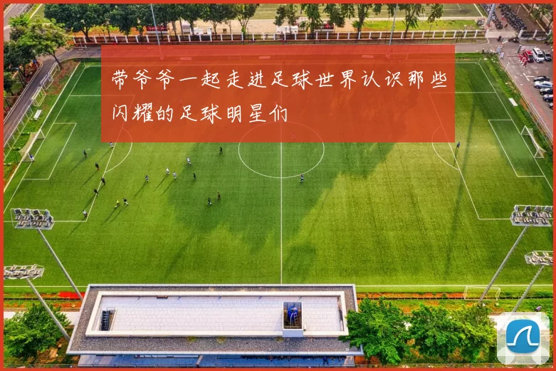 带爷爷一起走进足球世界认识那些闪耀的足球明星们