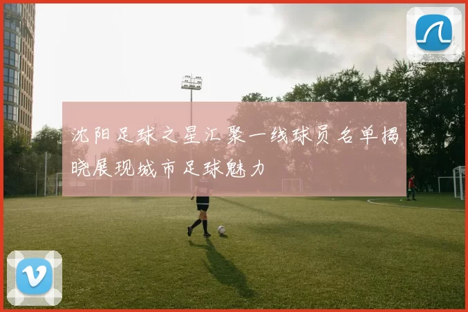 沈阳足球之星汇聚一线球员名单揭晓展现城市足球魅力