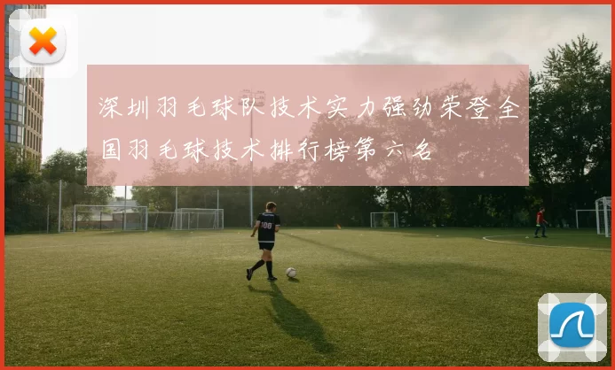 深圳羽毛球队技术实力强劲荣登全国羽毛球技术排行榜第六名