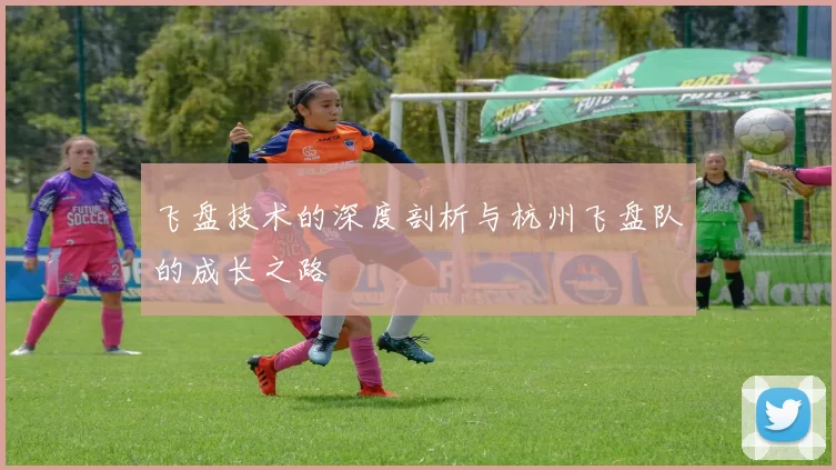 飞盘技术的深度剖析与杭州飞盘队的成长之路