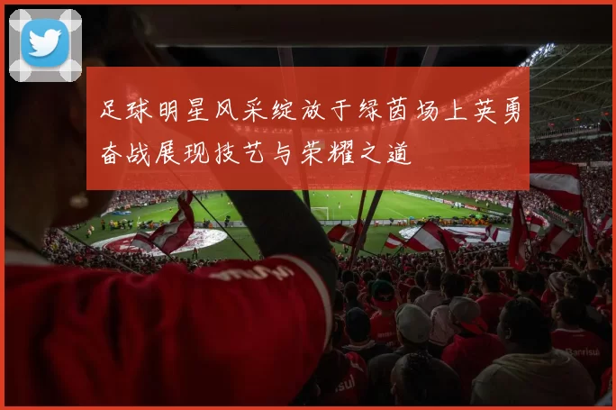 足球明星风采绽放于绿茵场上英勇奋战展现技艺与荣耀之道