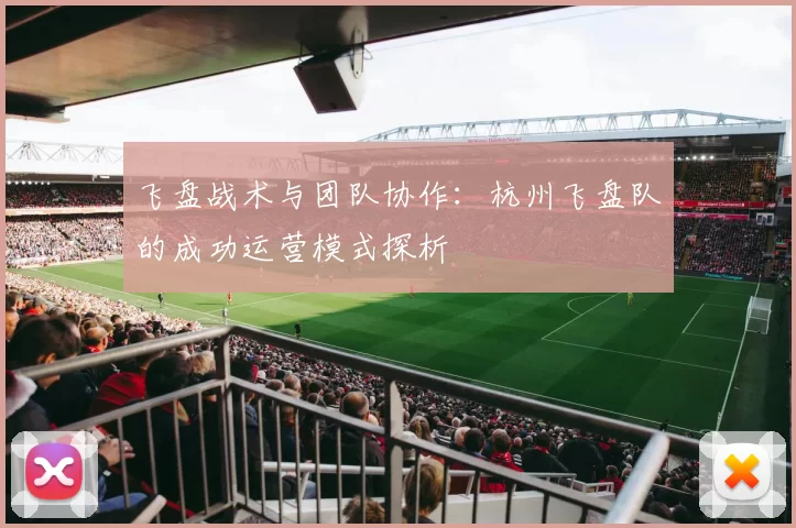 飞盘战术与团队协作：杭州飞盘队的成功运营模式探析