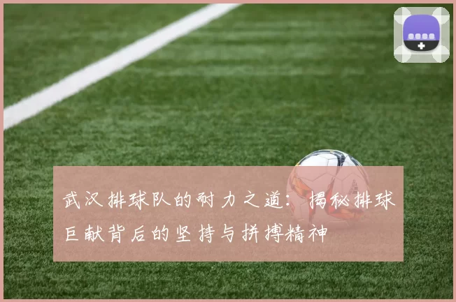 武汉排球队的耐力之道：揭秘排球巨献背后的坚持与拼搏精神