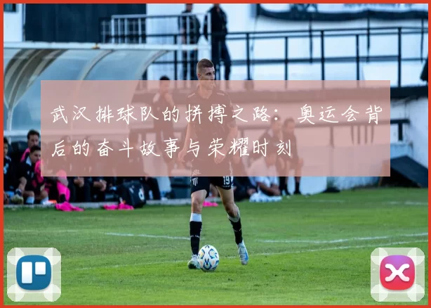 武汉排球队的拼搏之路：奥运会背后的奋斗故事与荣耀时刻