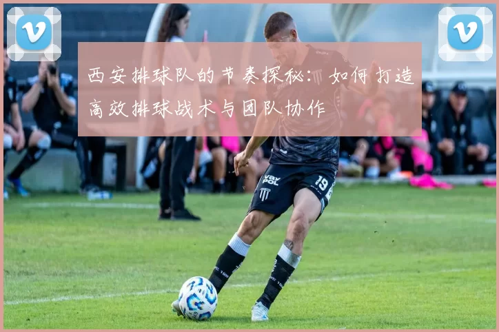 西安排球队的节奏探秘：如何打造高效排球战术与团队协作