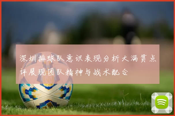 深圳排球队意识表现分析大满贯点评展现团队精神与战术配合